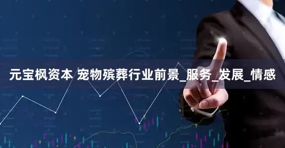 元宝枫资本 宠物殡葬行业前景_服务_发展_情感