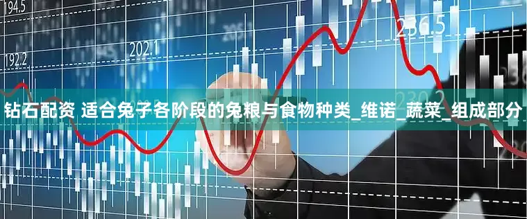 钻石配资 适合兔子各阶段的兔粮与食物种类_维诺_蔬菜_组成部分