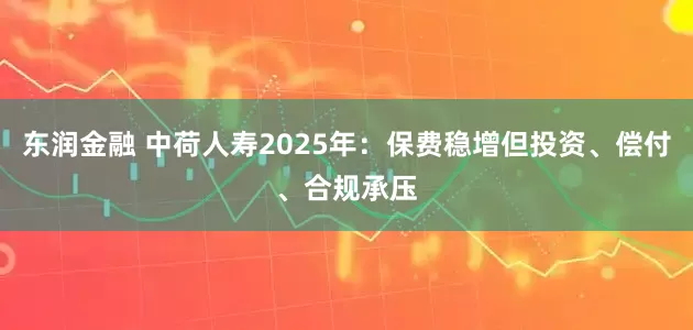 东润金融 中荷人寿2025年：保费稳增但投资、偿付、合规承压